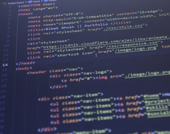 website development